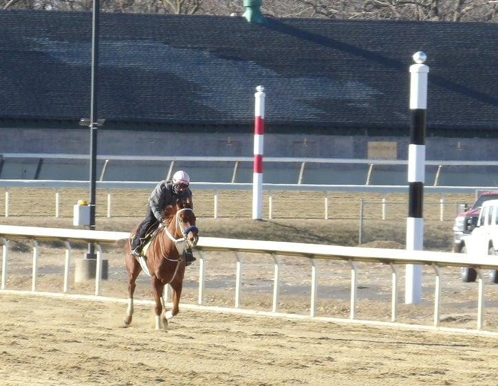 Belmont Race Track 
Sunday, January 24, 2021

Training Track