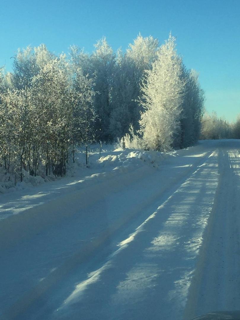 Frosty, so beautiful