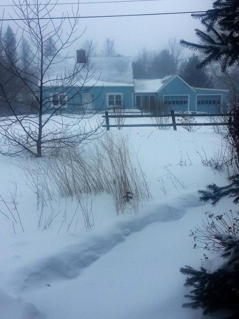 My wonderful neighbor shoveled the walk and did the driveway about an hour ago, The walkway has drifted in , not sure about hte driveway, can't see it without going outdoors and I have no intention of doing that.