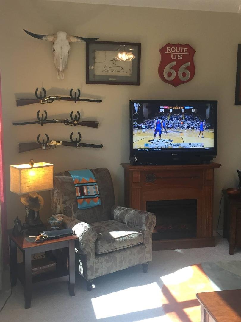 A cow skull to complete my living room wall.