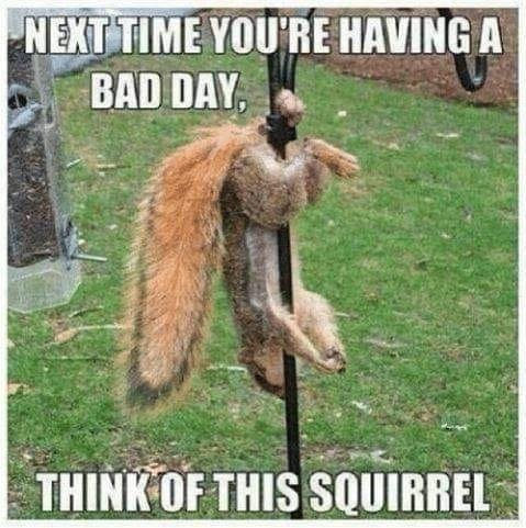 Robert Prokop's album, Timeline photos