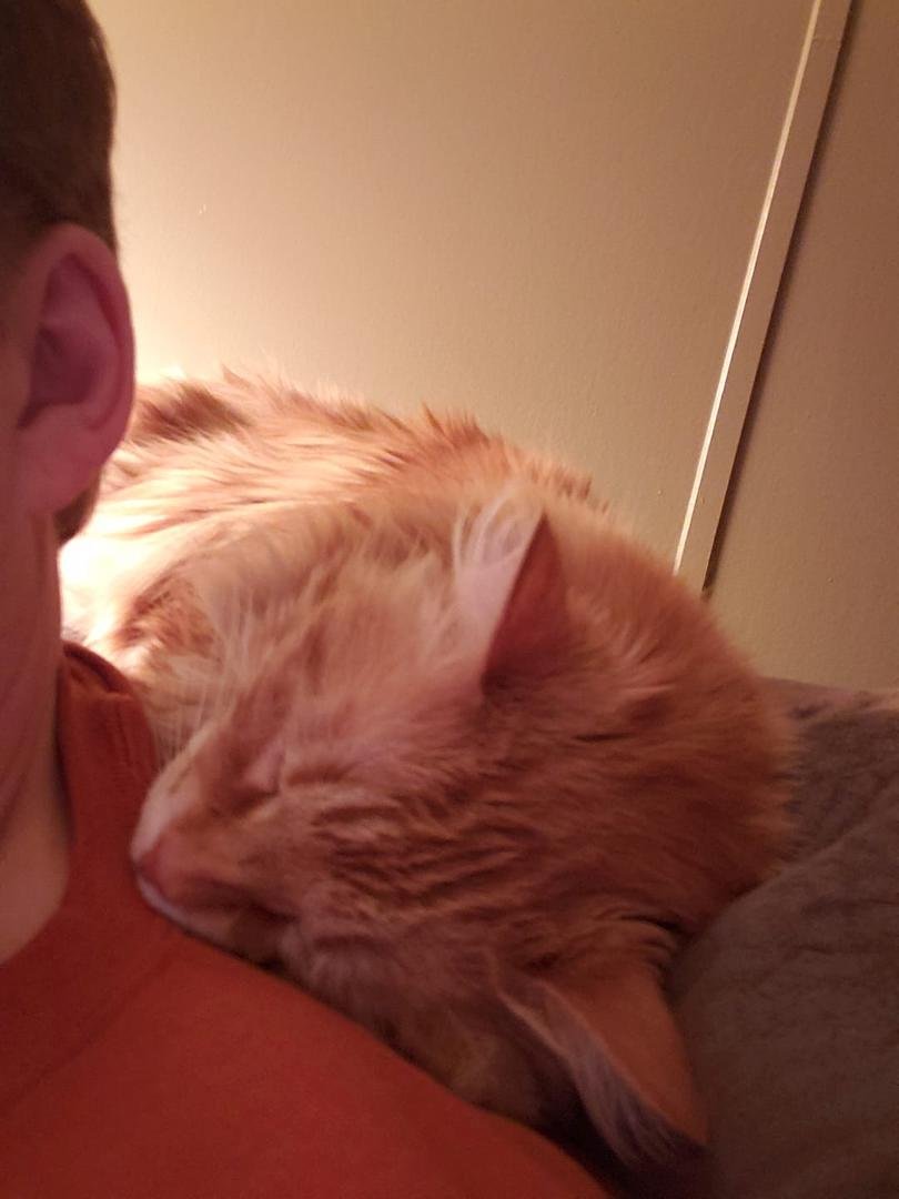 I think he knows when I need comforting, always there as close as he can get.