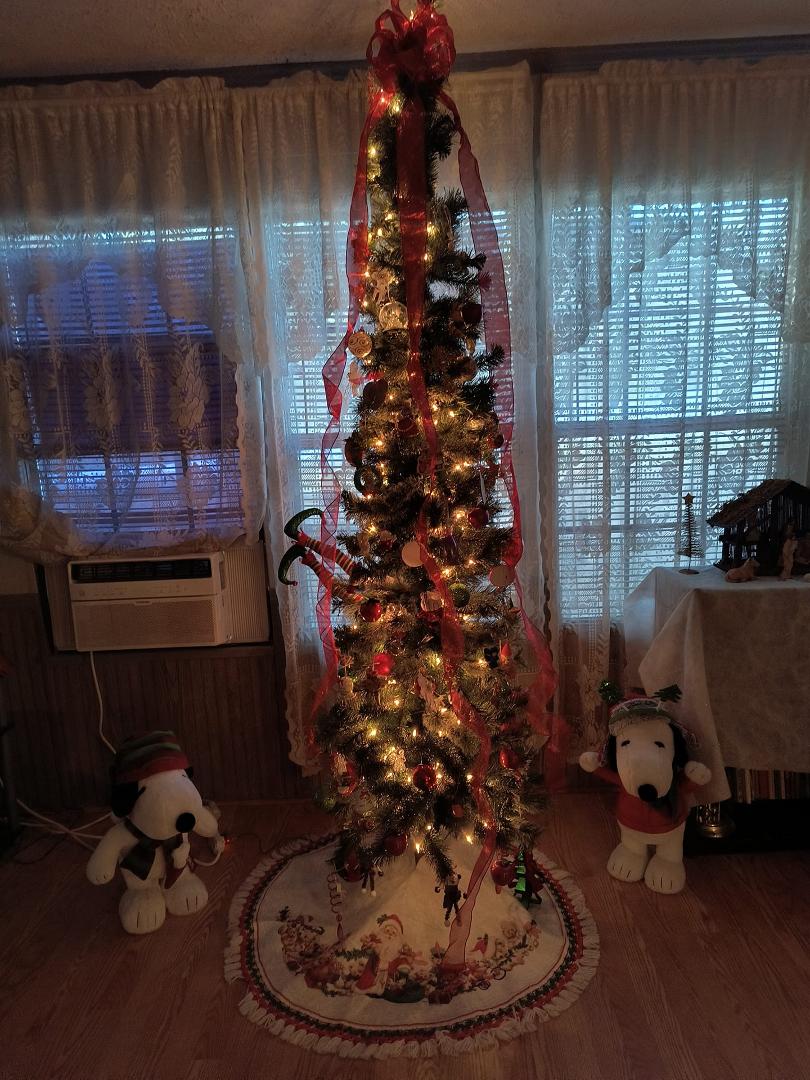I finally got my Christmas tree up. And a few other decorations also.