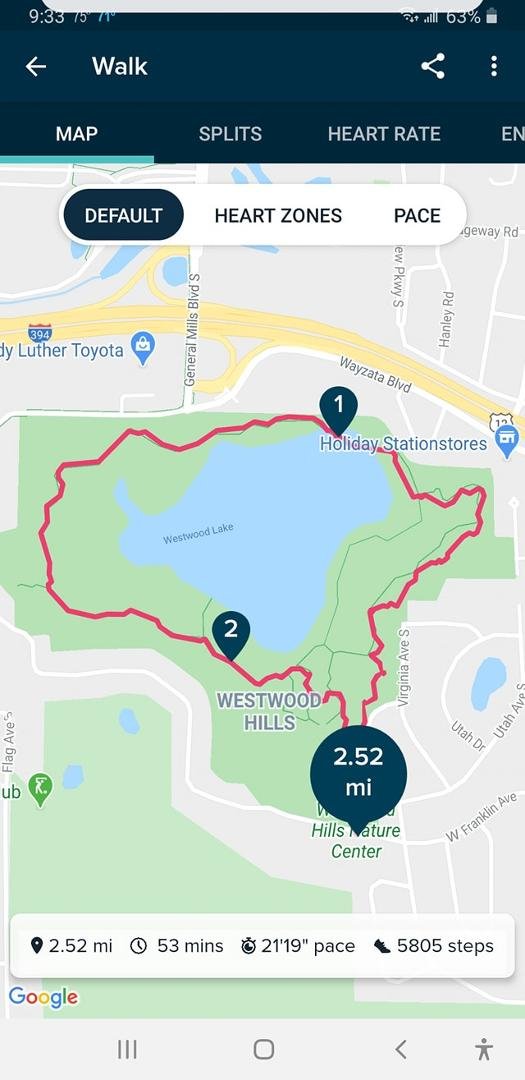 On a cool Wednesday morning, soon to be sweltering, I got a hankerin' for a big walk. So I headed to Westwood Hills Nature Center; saw 2 swans on the way in Craves Lake & 2 more in Westwood Lake. And a Merganzer duck as I  