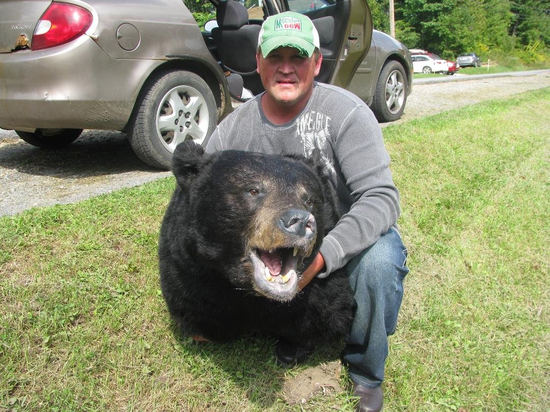 Brad's Bear