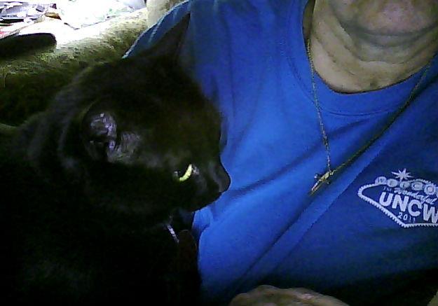 I will sit on your arm so you can't type....