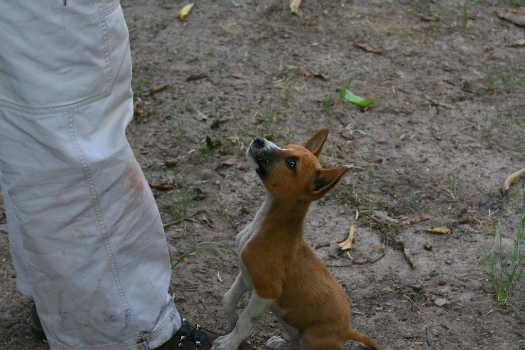 Avongara Tambura when we found him in Congo.
