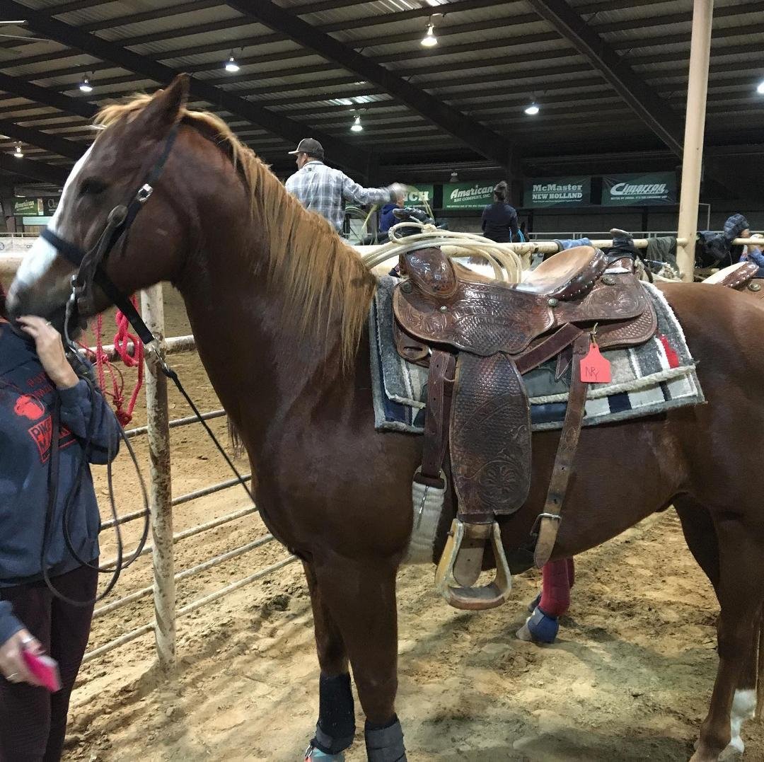 Alle Rickard and her breakaway horse Mexico. Still working it at 15. NRS Arena Decatur TX.                                      R1 Digital Media                     Stay Tuned