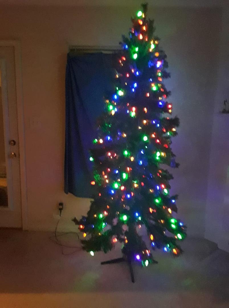 Step One: Set up tree.