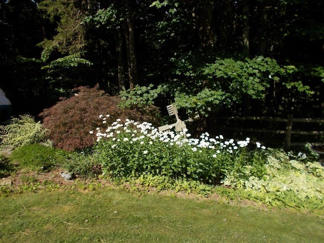 Peter Hohlfeld's album, Timeline Photos