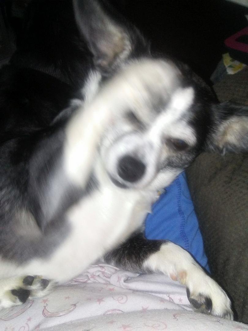 Trouble telling me to stop taking photos.