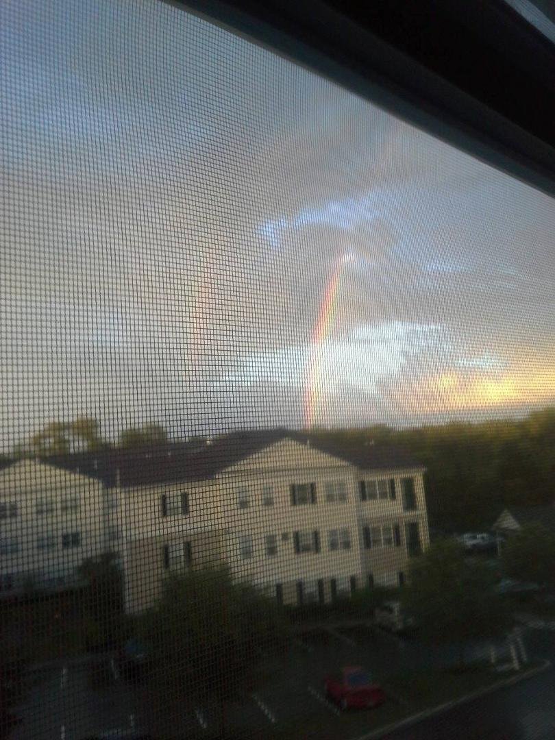 Outside my window.