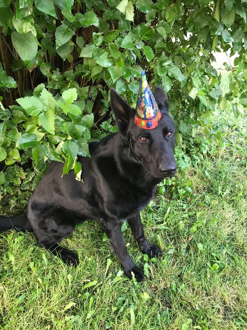 2 years old