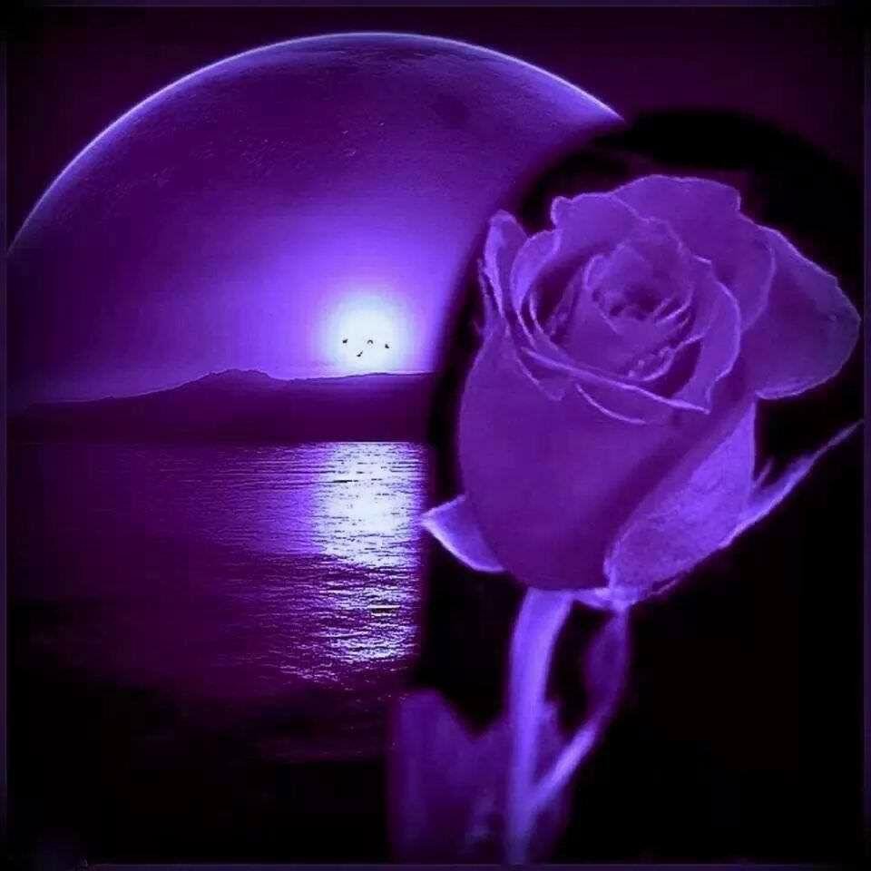 Debbie Mahoney's album, Timeline Photos