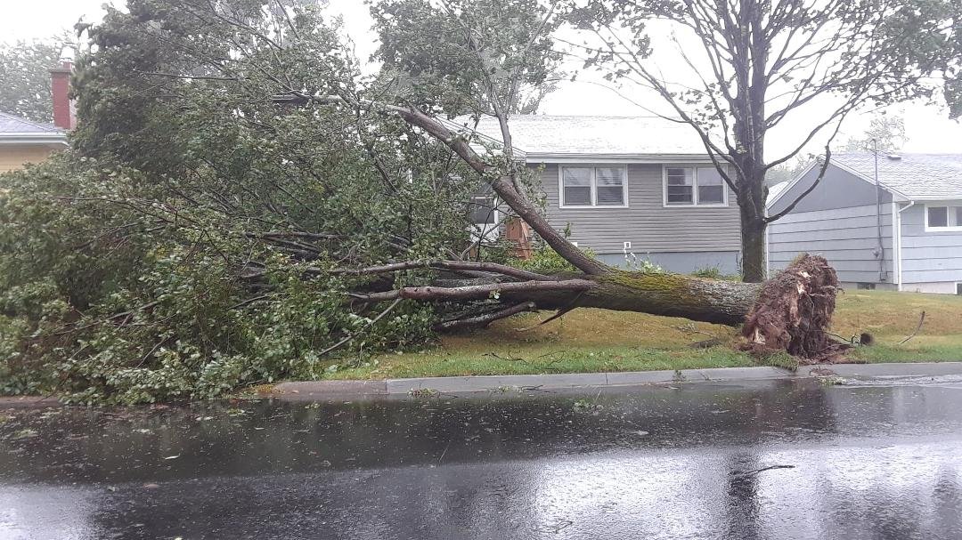 Our front yard a year ago with Dorian.