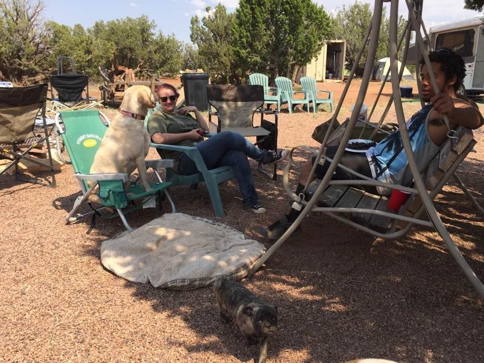 Dana Fellows' album, Timeline Photos