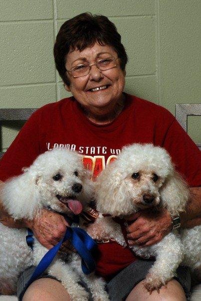 James Needham's album, Pet Blessing 2007
