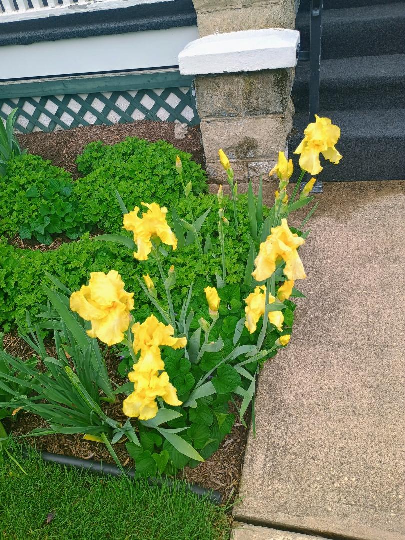 SHOWERS BRING FLOWERS. 😊💕