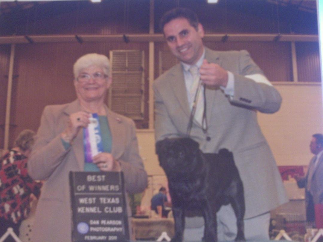 Best of Winners from Midland,TX