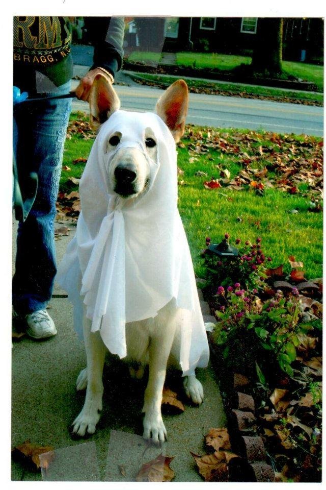 Elizabeth Robinson's album, Sebastian for HalloweenOctober 21, 2011