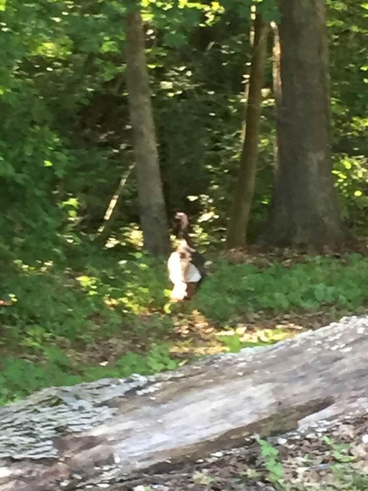 We’re not the only turkeys on the course