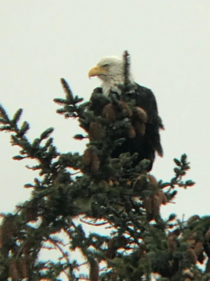 One of our residents--