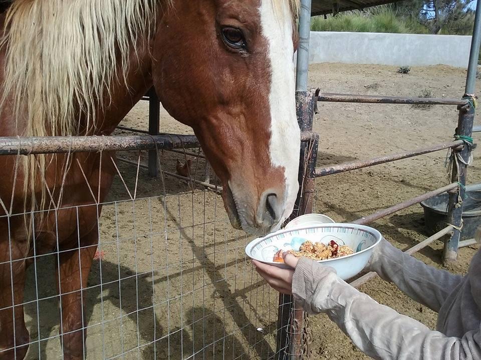 Guy is making sure it edible???