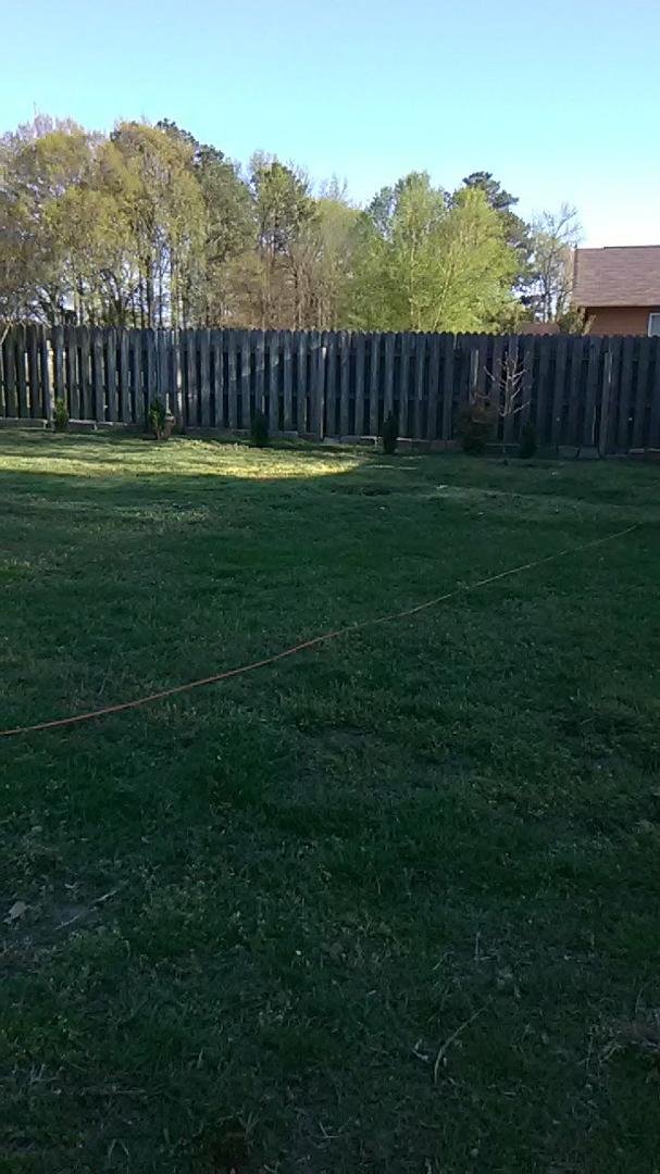 Just had some trees planted.... So pretty..