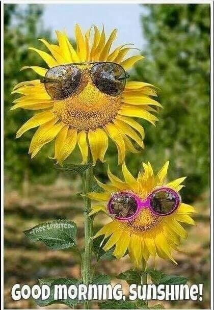 Have a blessed day