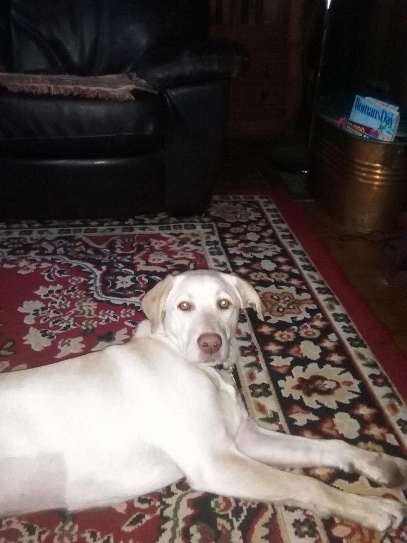 Grace letting me know I woke her from her nap