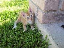 Ariel Shimondle's album, Timeline Photos