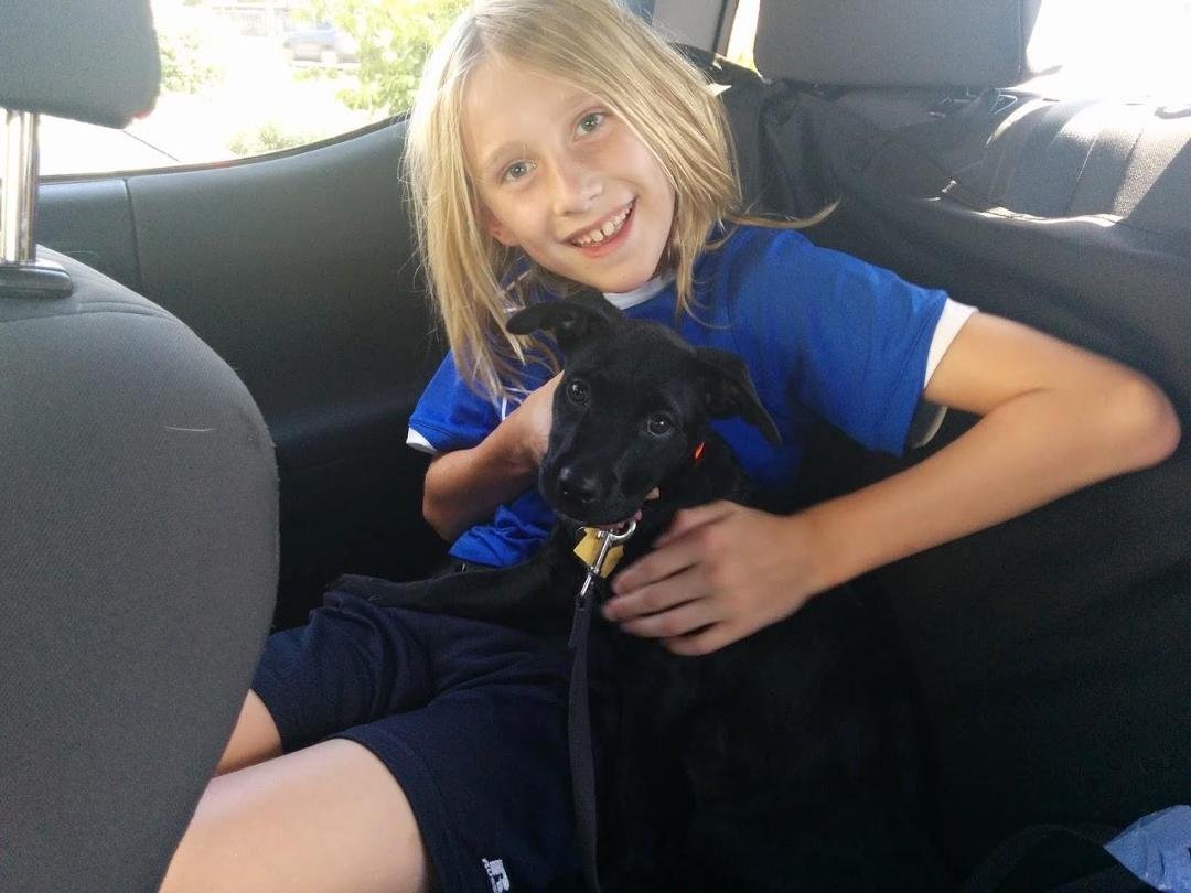 This is Rosie. (The one with the black fur.) The newest member of the Weidner family.
