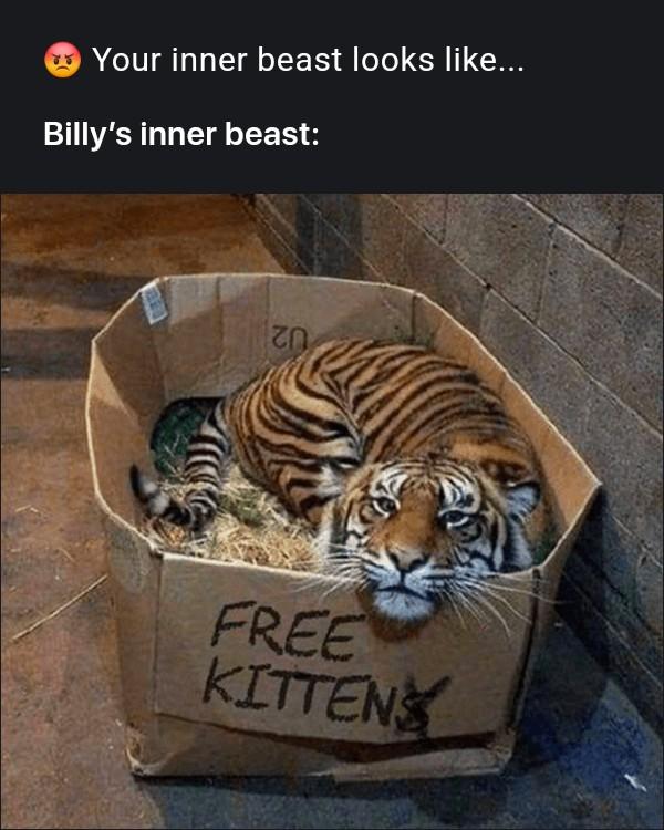 lol