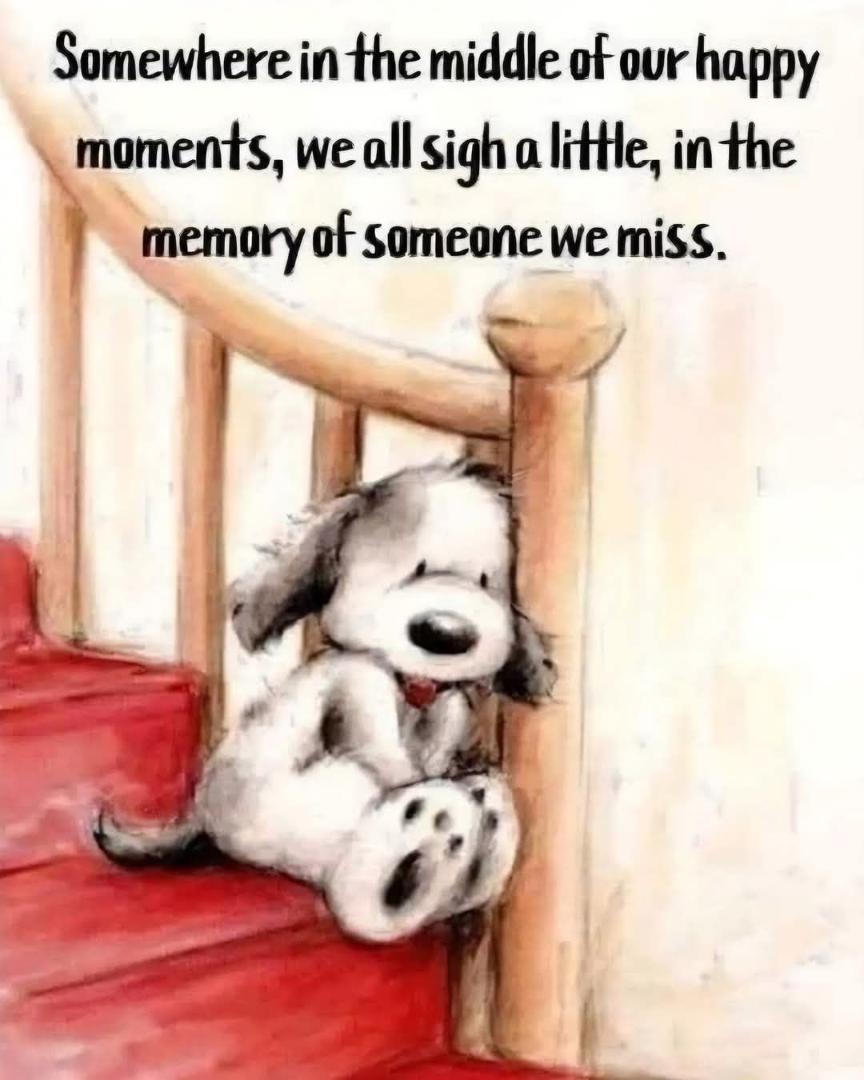 Michael Sparks' album, Timeline photos