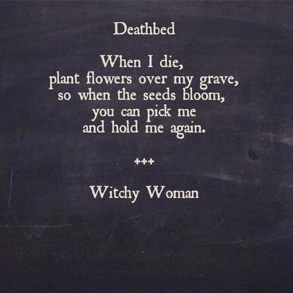 Debbie Seltman's album, Timeline Photos