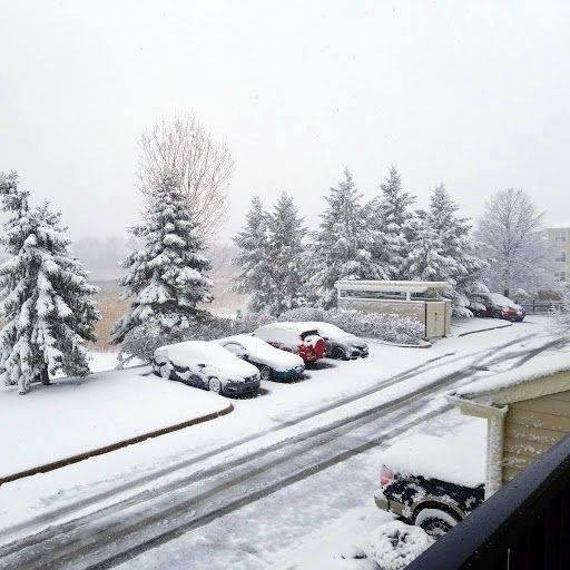 A Lovely Spring Day In Lake Villa! 😄