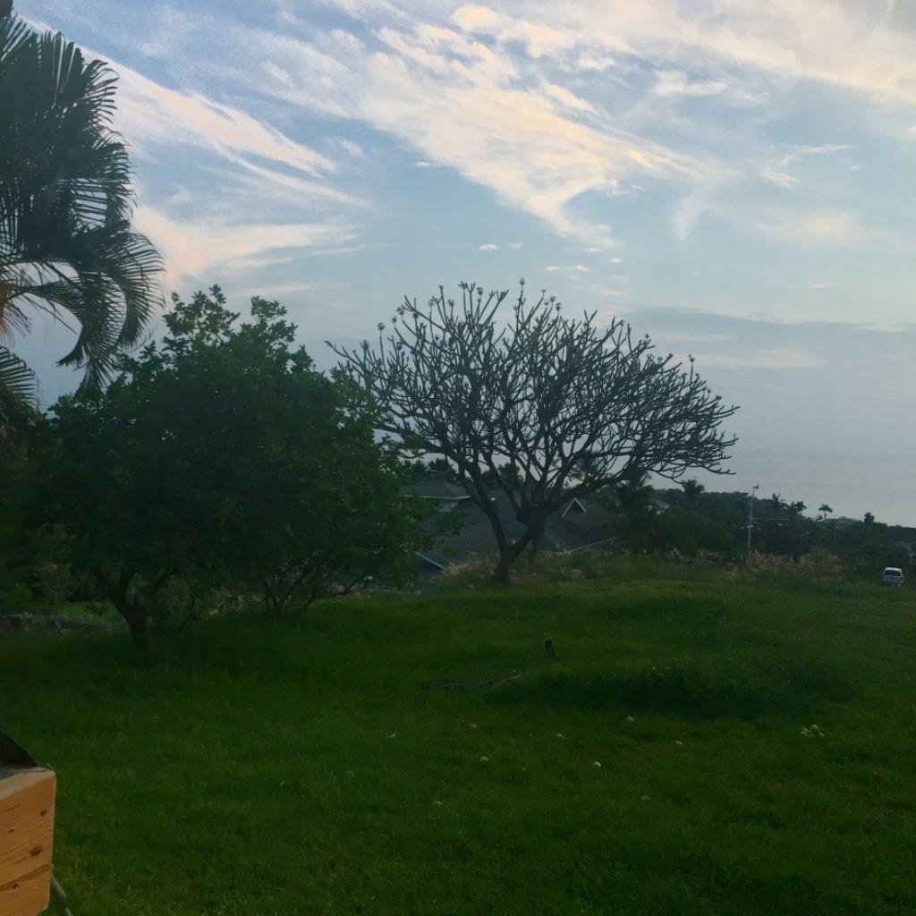 Sunday pizza in paradise night. Pizza will be wonderful but I’m thinking and praying about my cousin Pam in the hospital.