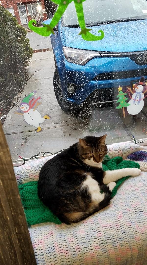 Ned had a relaxing day