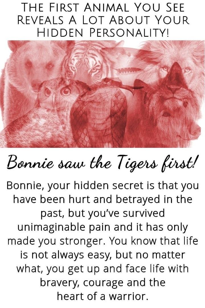 Bonnie Lundy's album, Timeline Photos