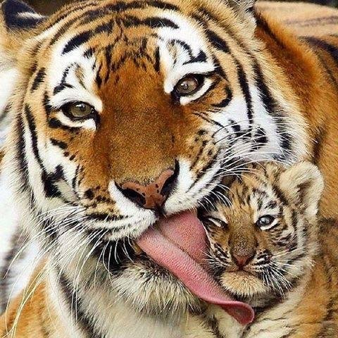 Pam Canfield's album, Timeline Photos