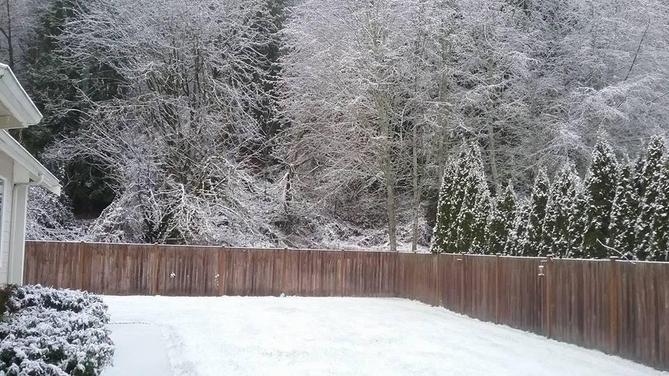 Well.....sure looks pretty. Just one week late.