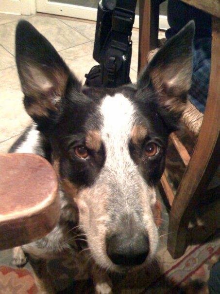 Hello. I'm Hank. How do?