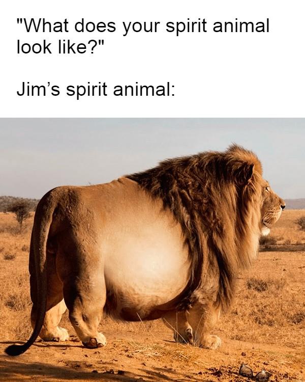 My spiritual animal is a Giraffe