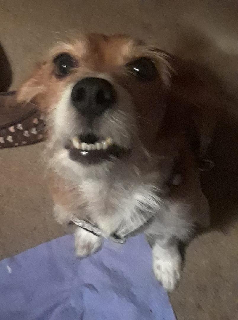 Smiling Granger, love you