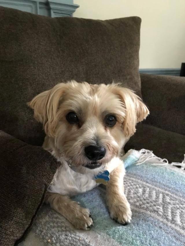 Birthday boy chilling out