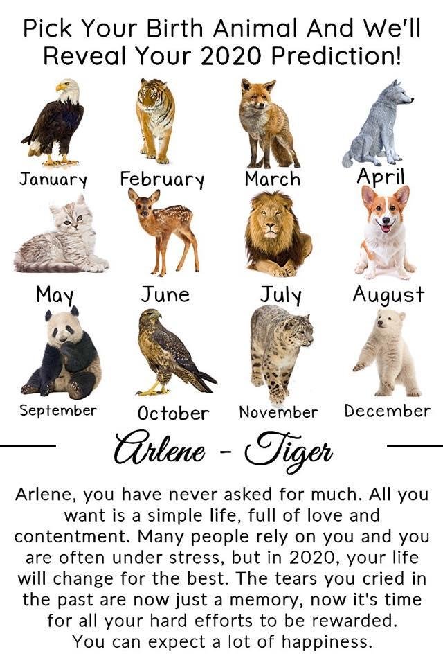 David Staiger's album, Timeline Photos