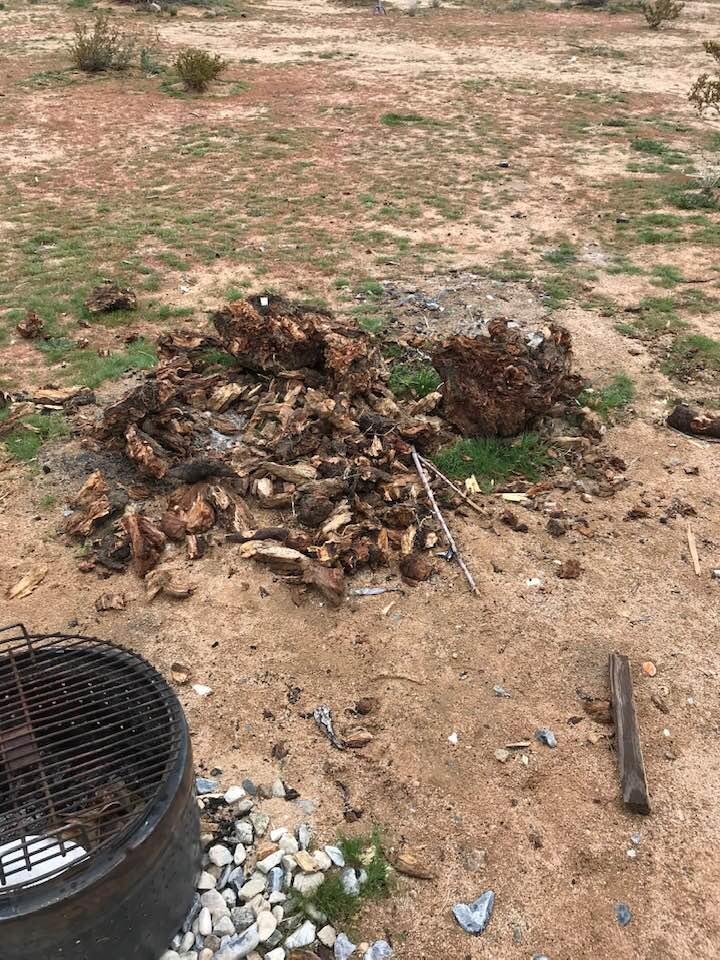 Pile of roots
