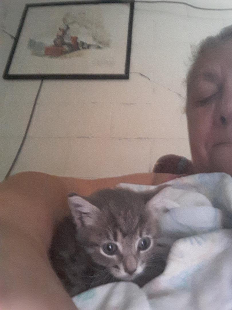 This is my new pet. Her name us Piper