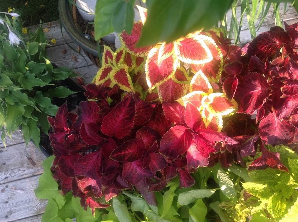 James Oitzinger's album, Timeline Photos
