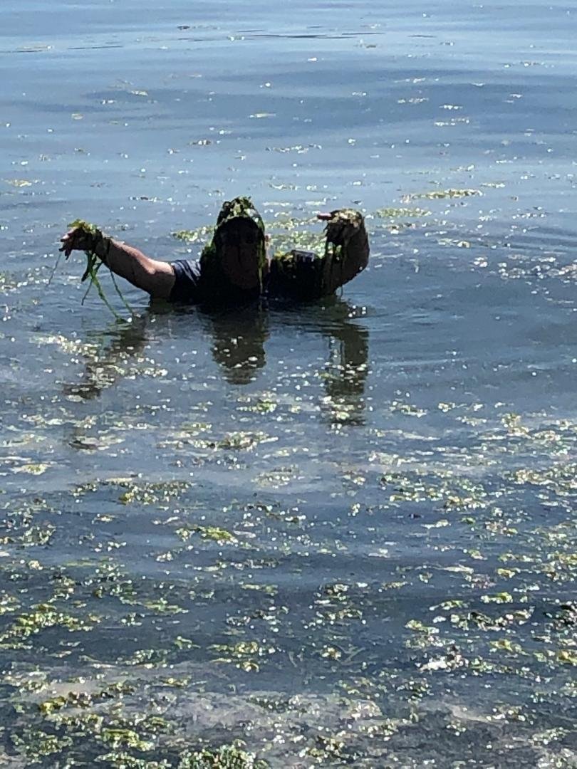 A nice swim on the beach.